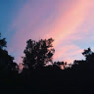 Meet your Posher, Gabbi